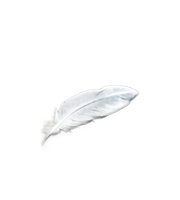 Angel Wisdom